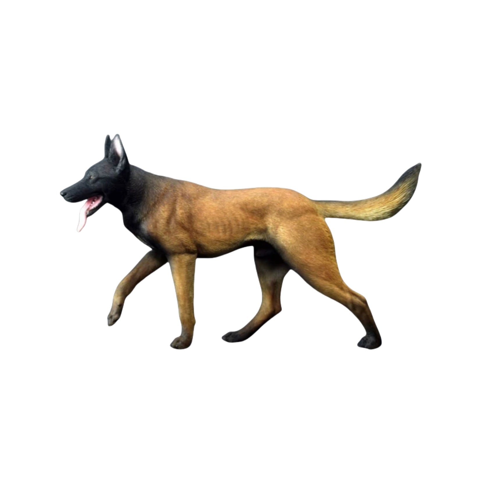 1/6 Working Belgian Malinois Figure