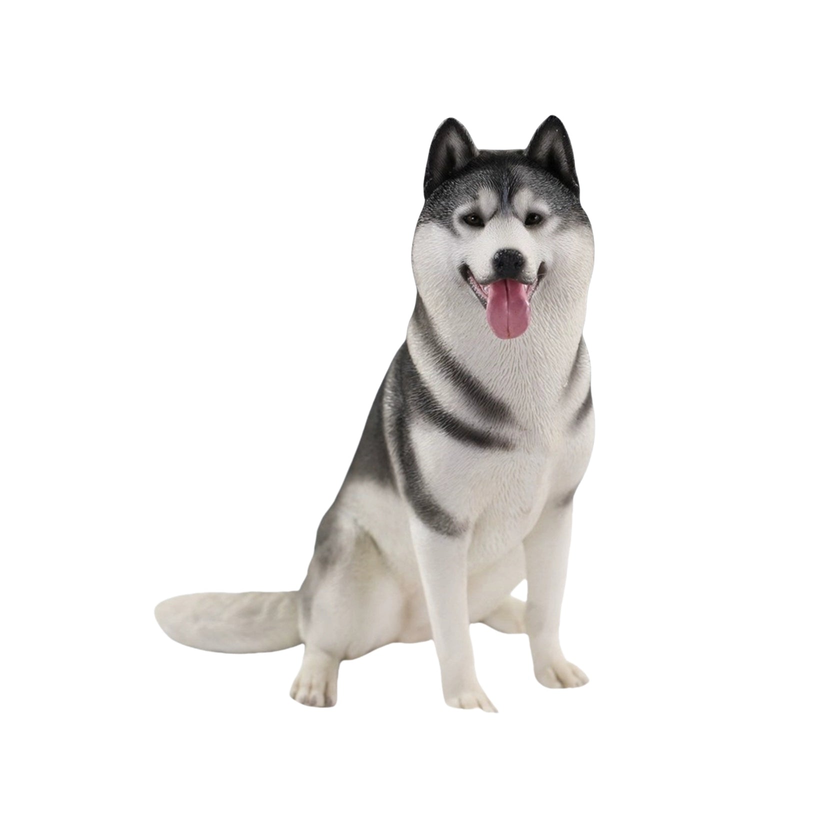 JXK 1/6 Siberian Husky 2.0 Figure