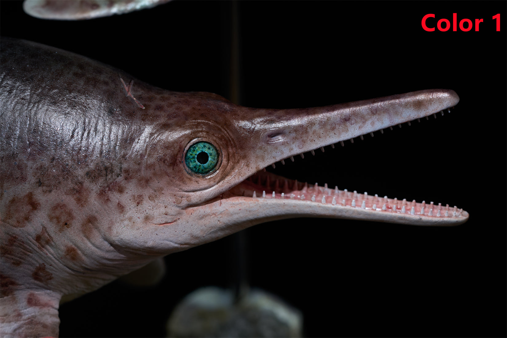 De CLAY Studio Ophthalmosaurus icenicus Model