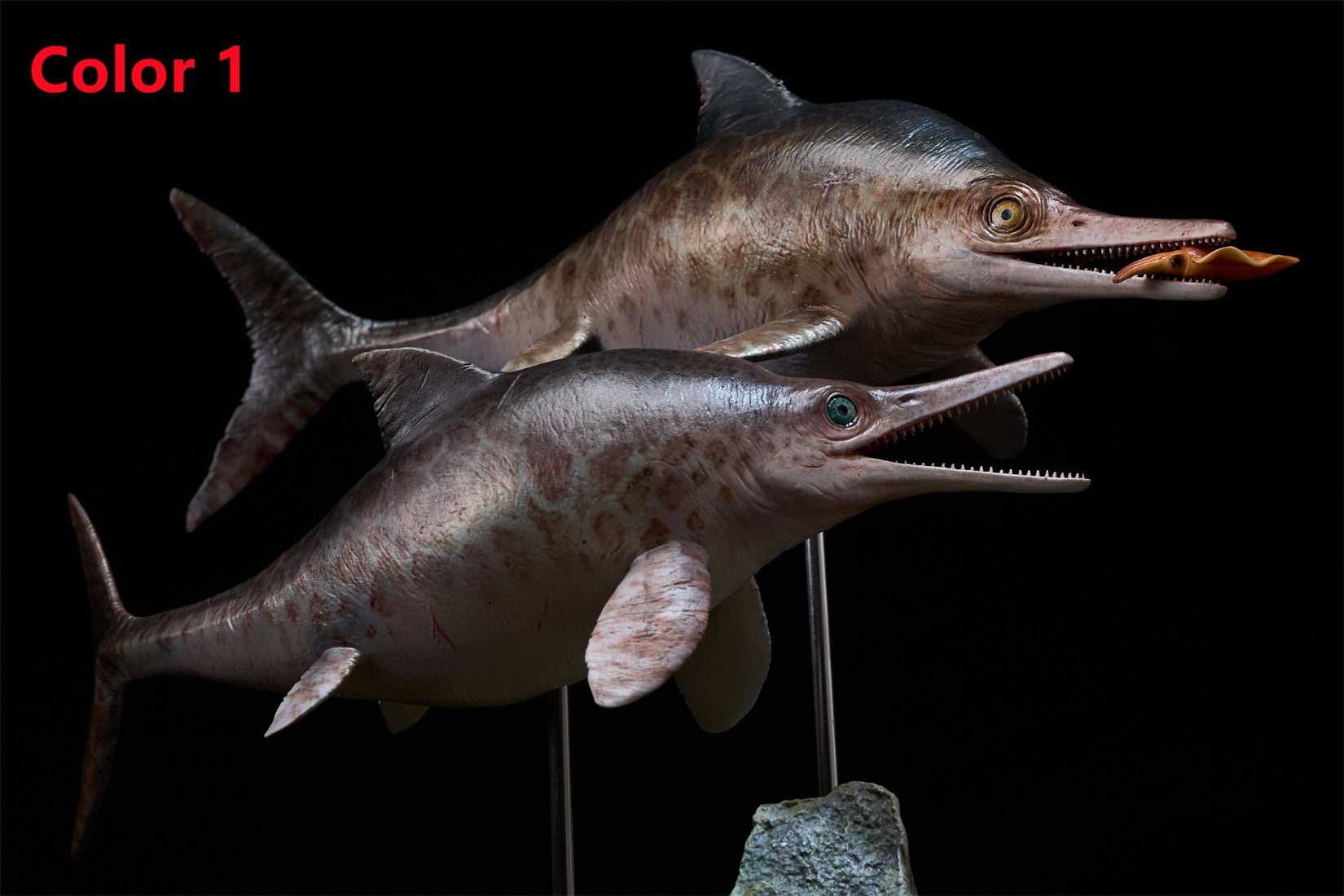 De CLAY Studio Ophthalmosaurus icenicus Model