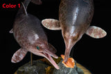De CLAY Studio Ophthalmosaurus icenicus Model