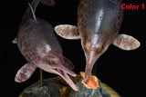 De CLAY Studio Ophthalmosaurus icenicus Model