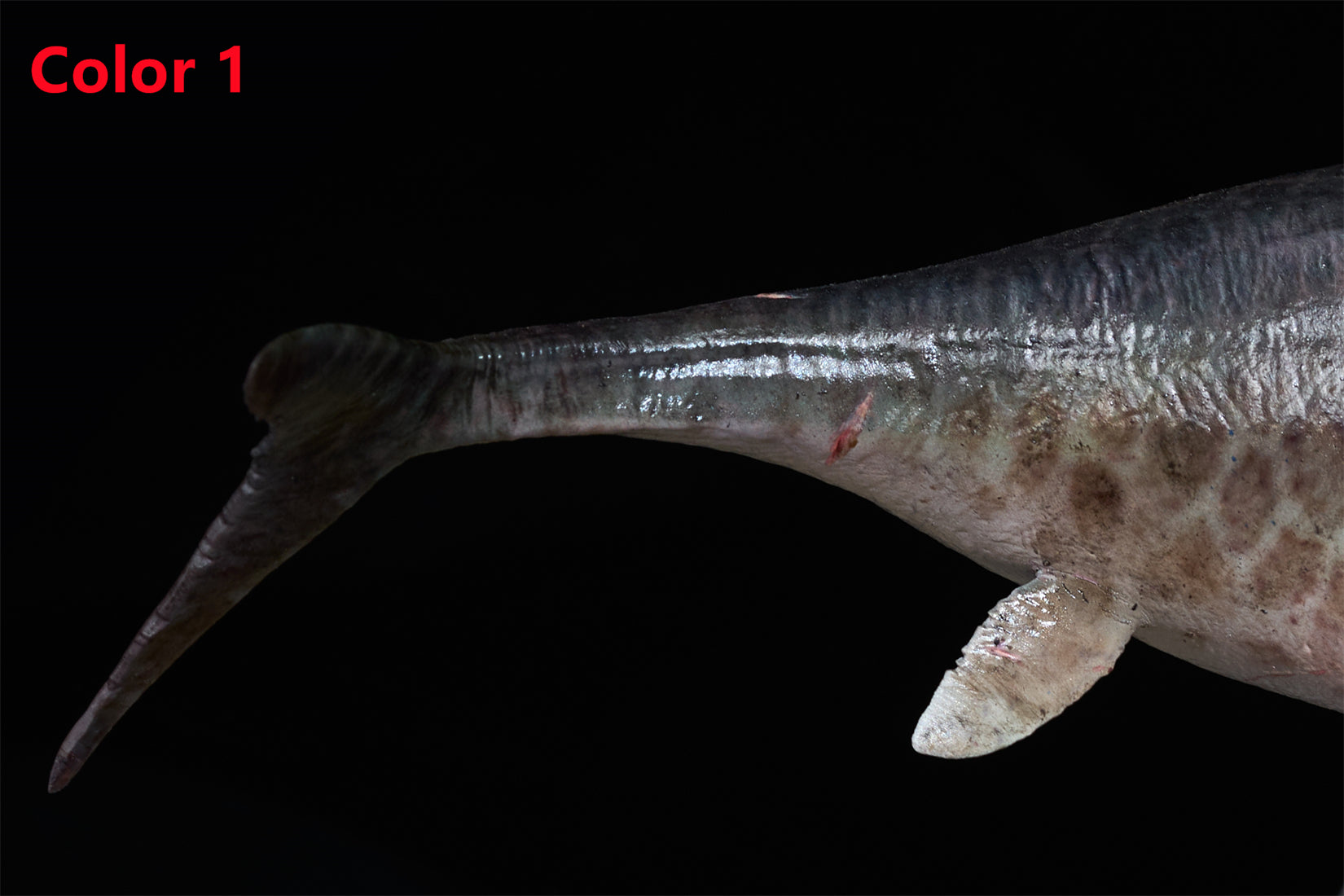 De CLAY Studio Ophthalmosaurus icenicus Model
