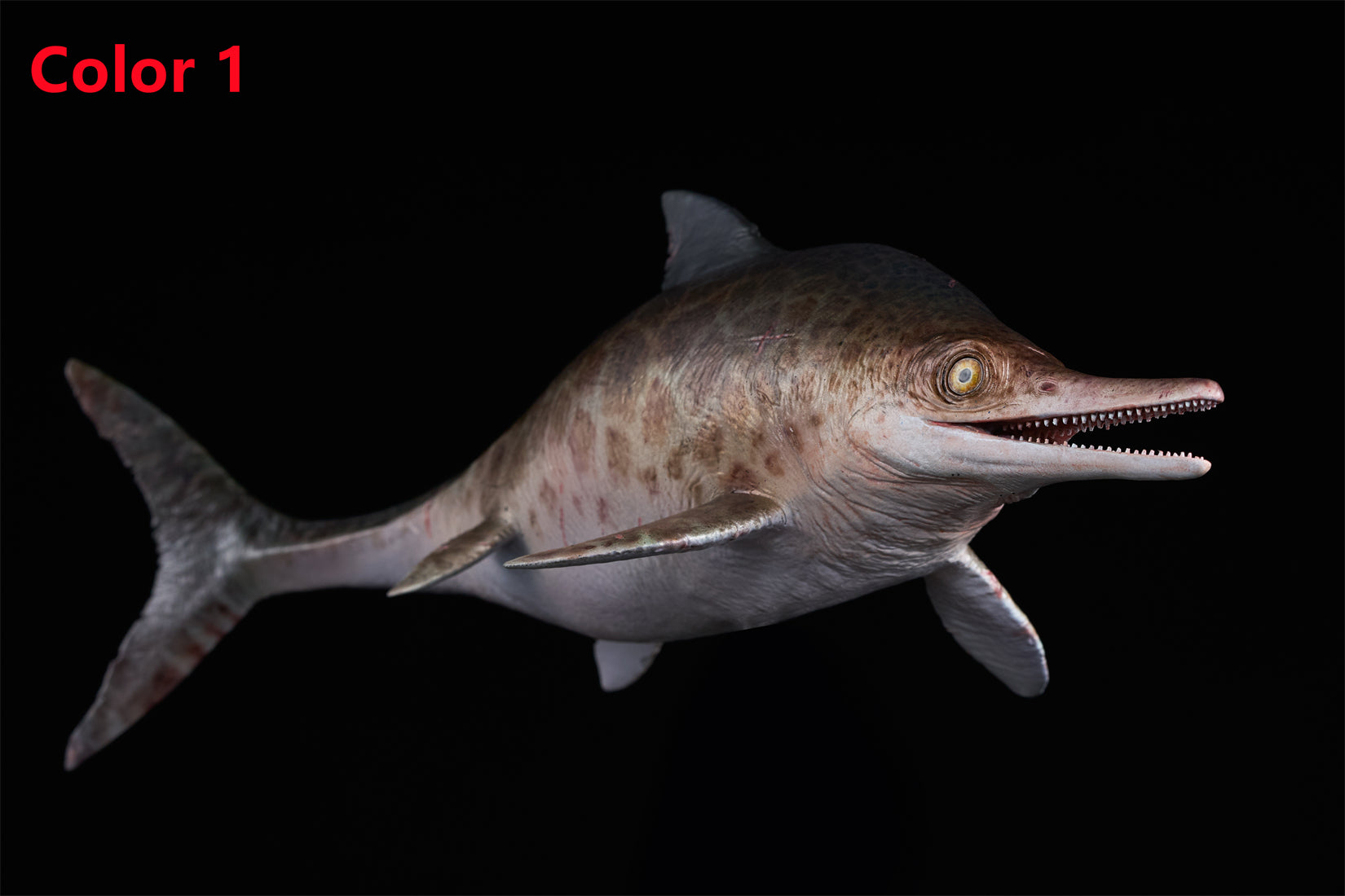 De CLAY Studio Ophthalmosaurus icenicus Model