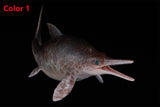 De CLAY Studio Ophthalmosaurus icenicus Model
