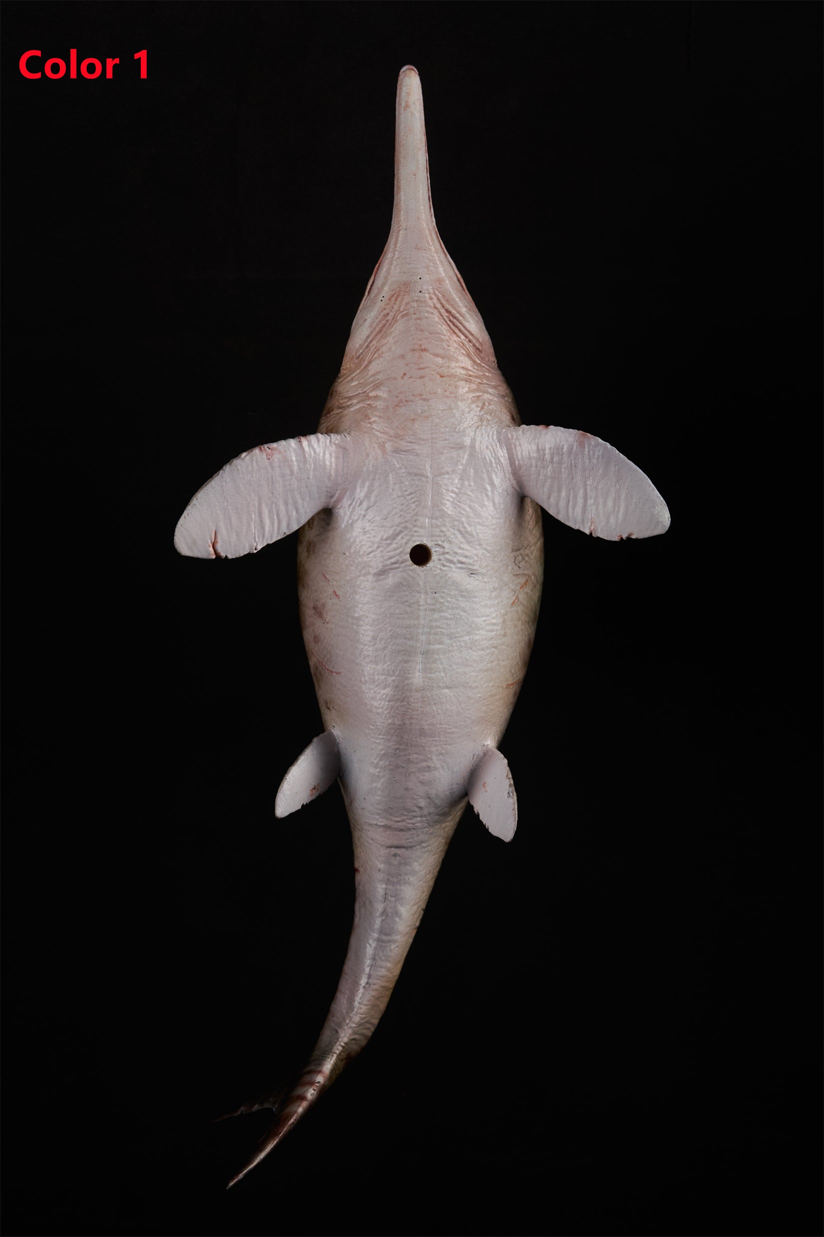 De CLAY Studio Ophthalmosaurus icenicus Model