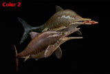 De CLAY Studio Ophthalmosaurus icenicus Model
