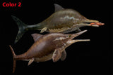 De CLAY Studio Ophthalmosaurus icenicus Model