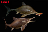 De CLAY Studio Ophthalmosaurus icenicus Model