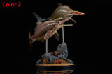 De CLAY Studio Ophthalmosaurus icenicus Model