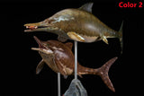 De CLAY Studio Ophthalmosaurus icenicus Model