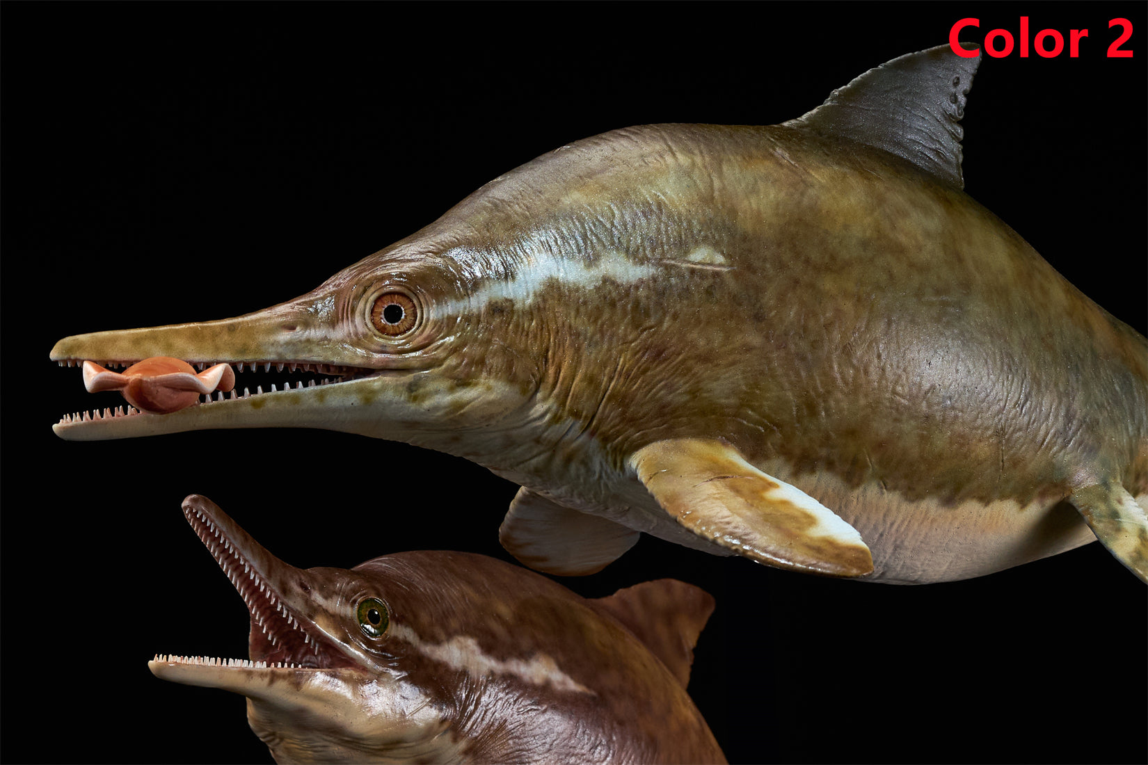 De CLAY Studio Ophthalmosaurus icenicus Model