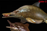 De CLAY Studio Ophthalmosaurus icenicus Model