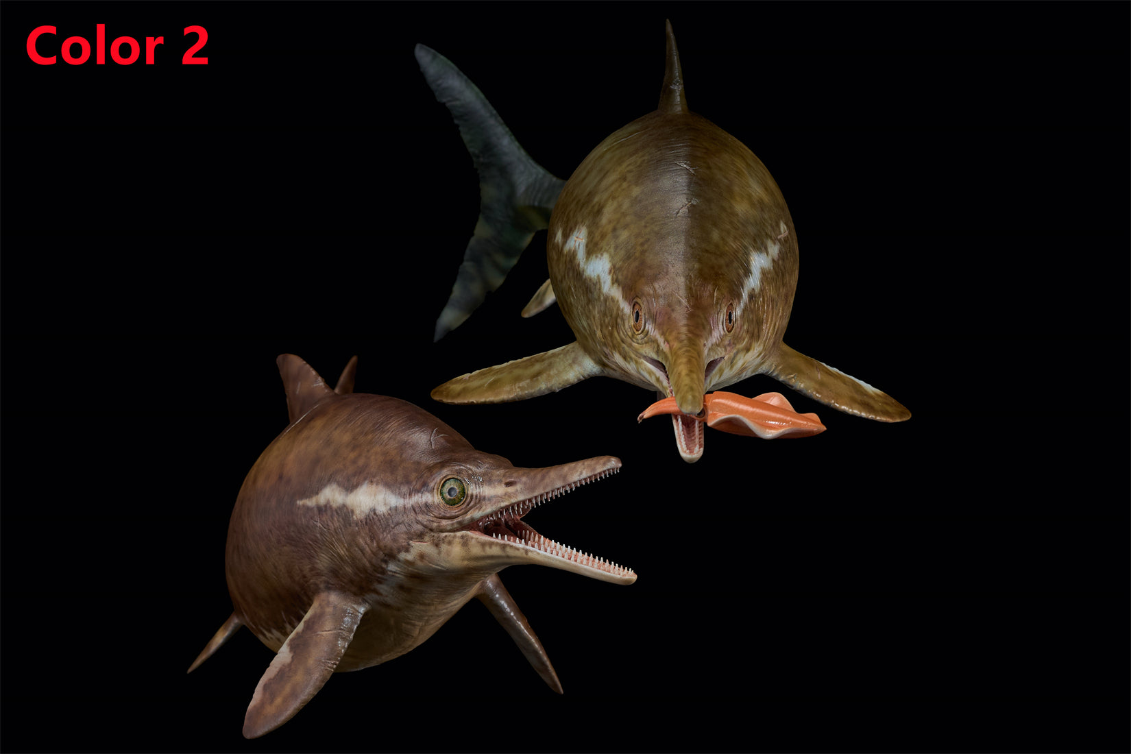 De CLAY Studio Ophthalmosaurus icenicus Model