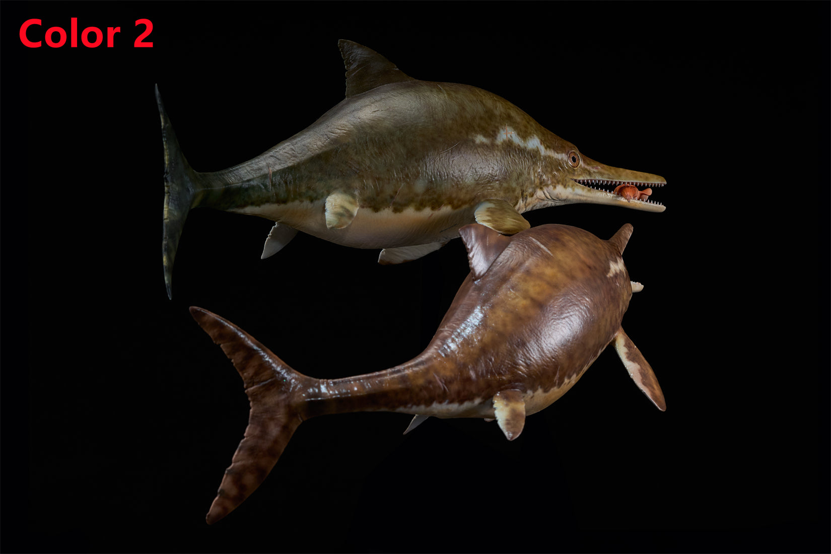 De CLAY Studio Ophthalmosaurus icenicus Model