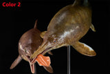 De CLAY Studio Ophthalmosaurus icenicus Model