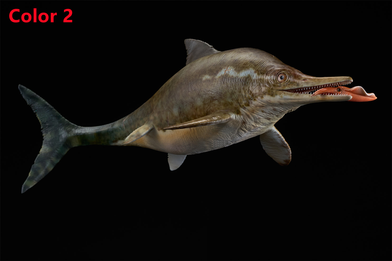 De CLAY Studio Ophthalmosaurus icenicus Model