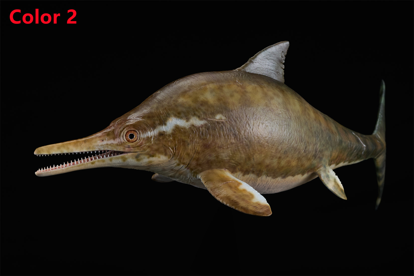 De CLAY Studio Ophthalmosaurus icenicus Model