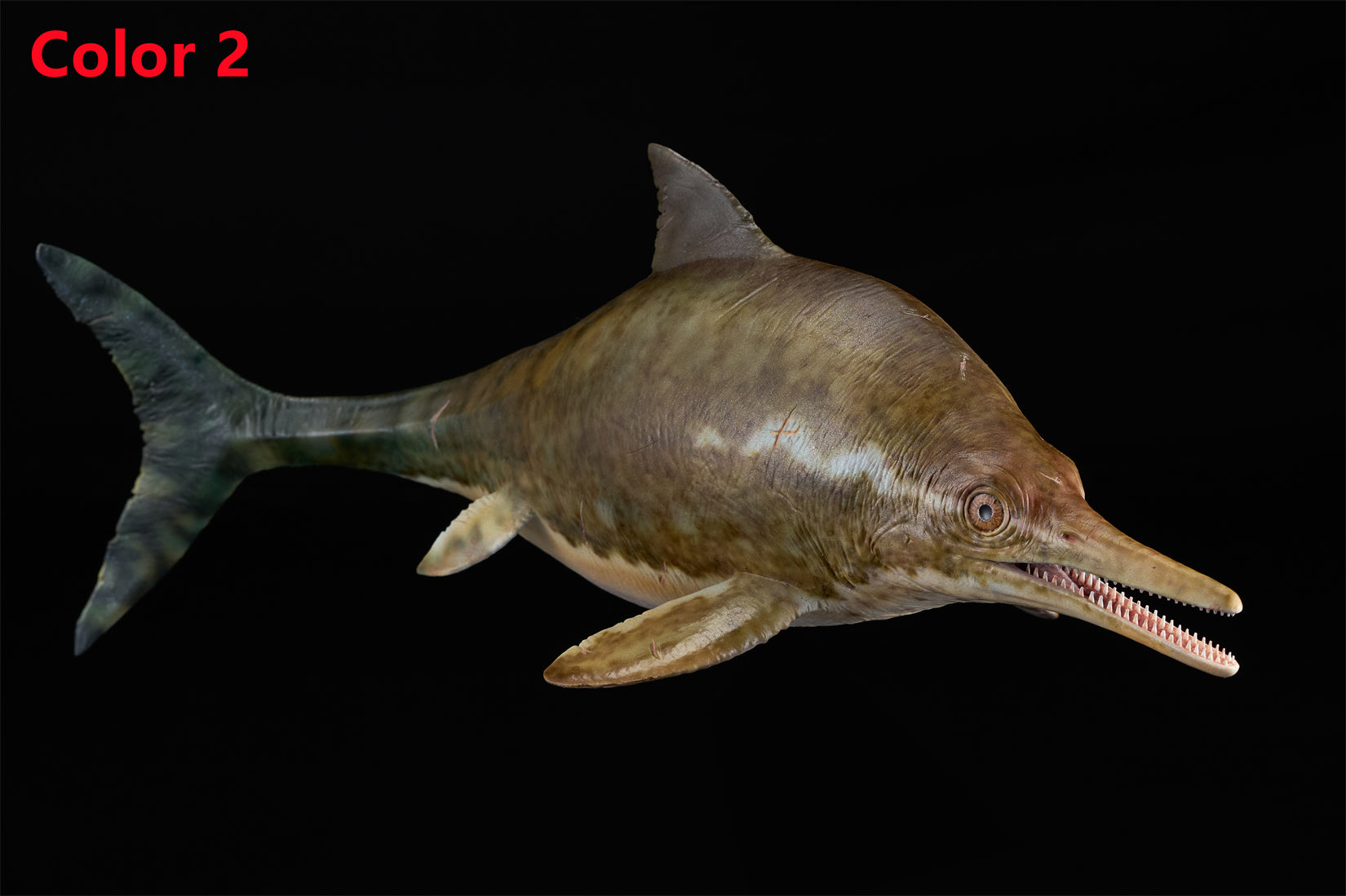 De CLAY Studio Ophthalmosaurus icenicus Model