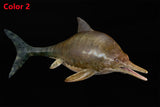 De CLAY Studio Ophthalmosaurus icenicus Model