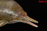 De CLAY Studio Ophthalmosaurus icenicus Model