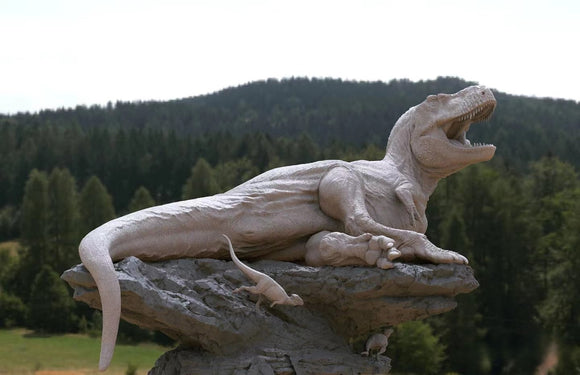 Aokhan Studio Zhuchengtyrannus Scene Model
