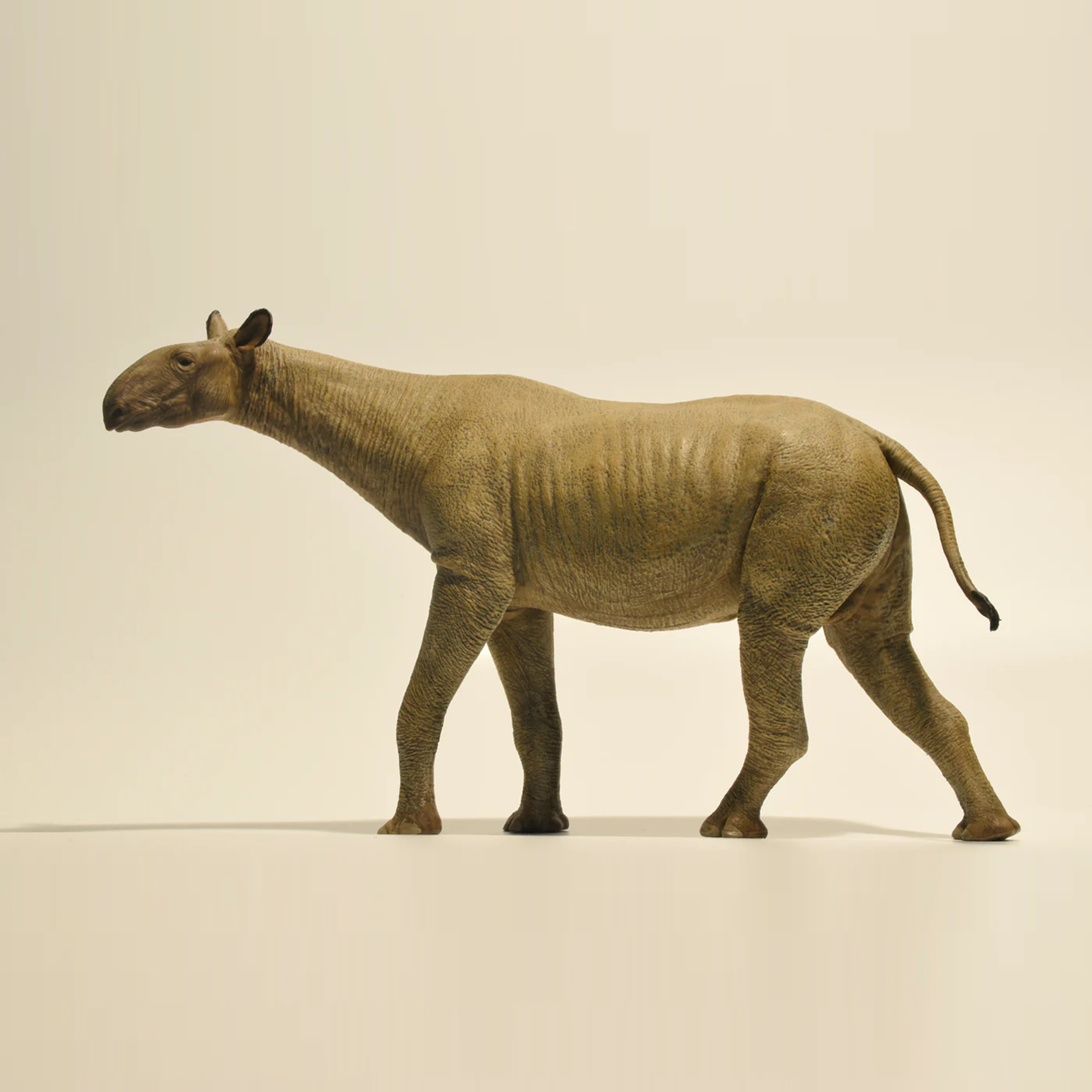 Eofauna 1:35 Scale Paraceratherium grangeri Figure