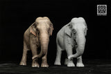 De CLAY Studio Asian Elephant Scene Statue