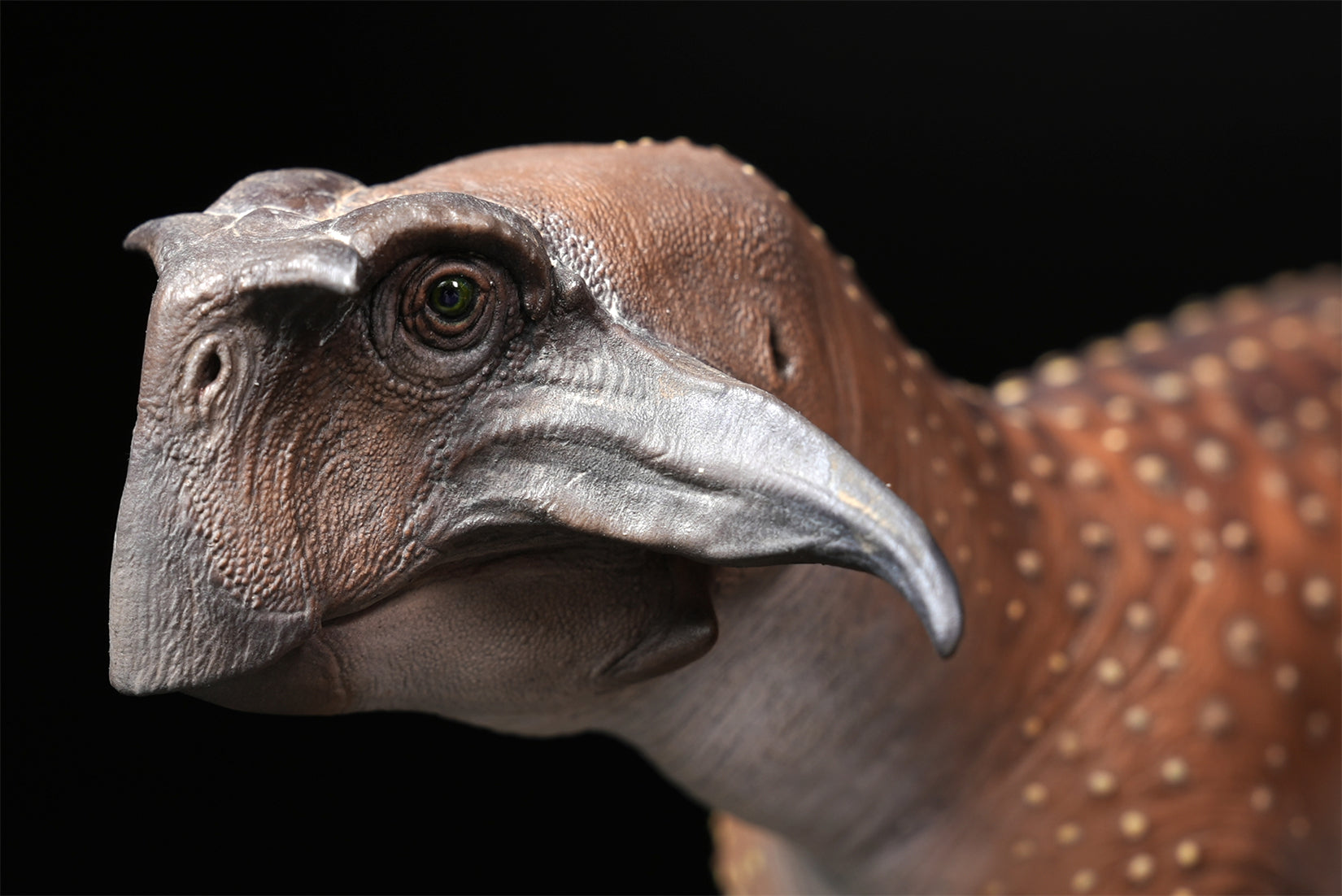 De CLAY Studio Psittacosaurus sibiricus Model