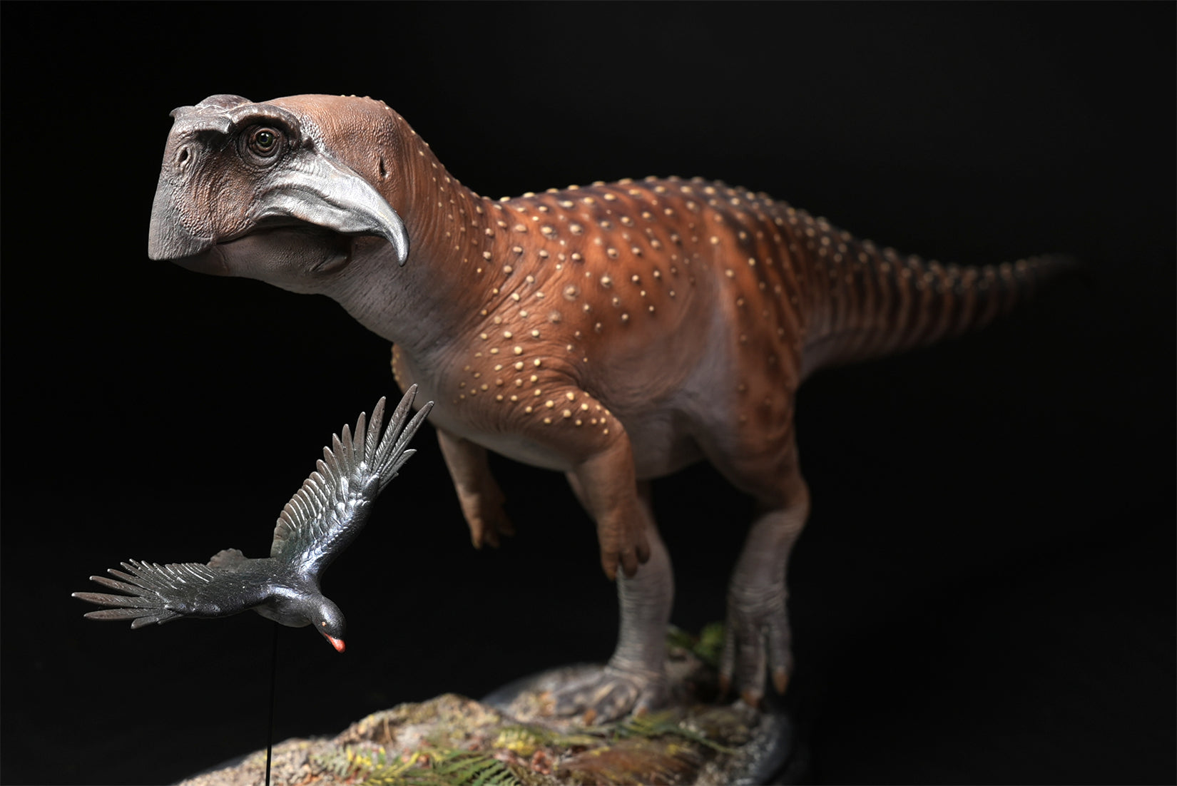 De CLAY Studio Psittacosaurus sibiricus Model