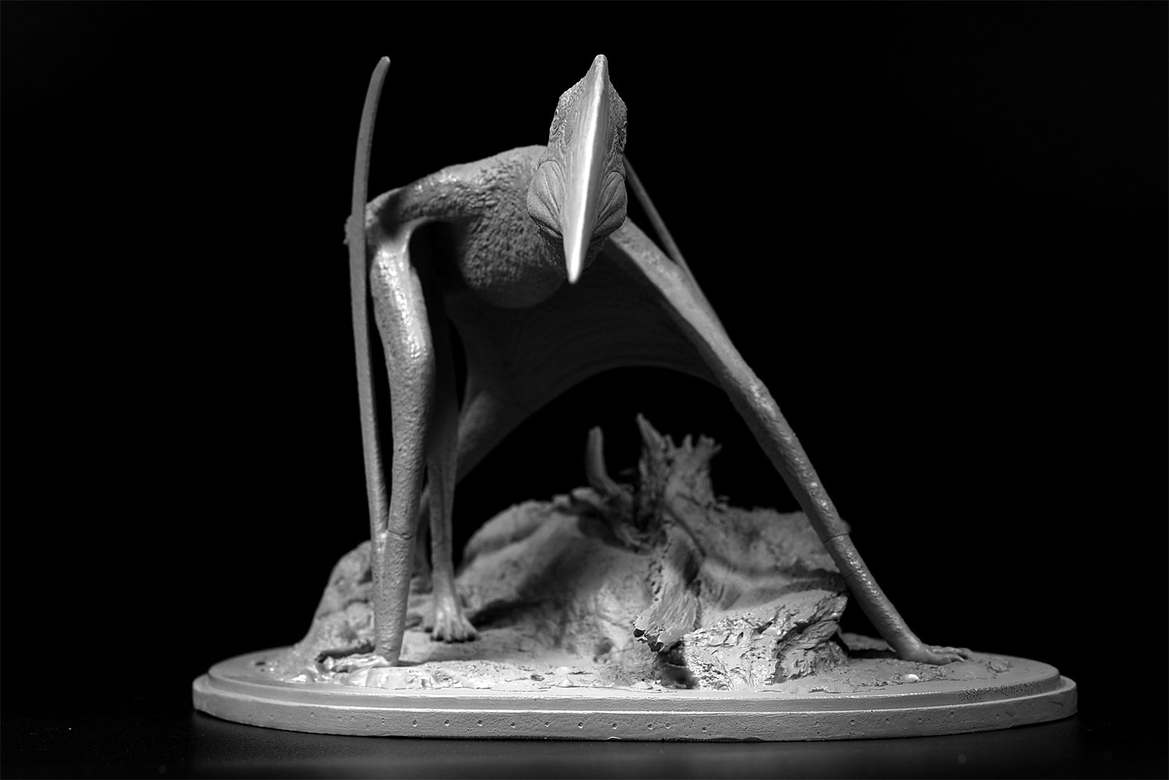 De CLAY Studio Hatzegopteryx thambema Model