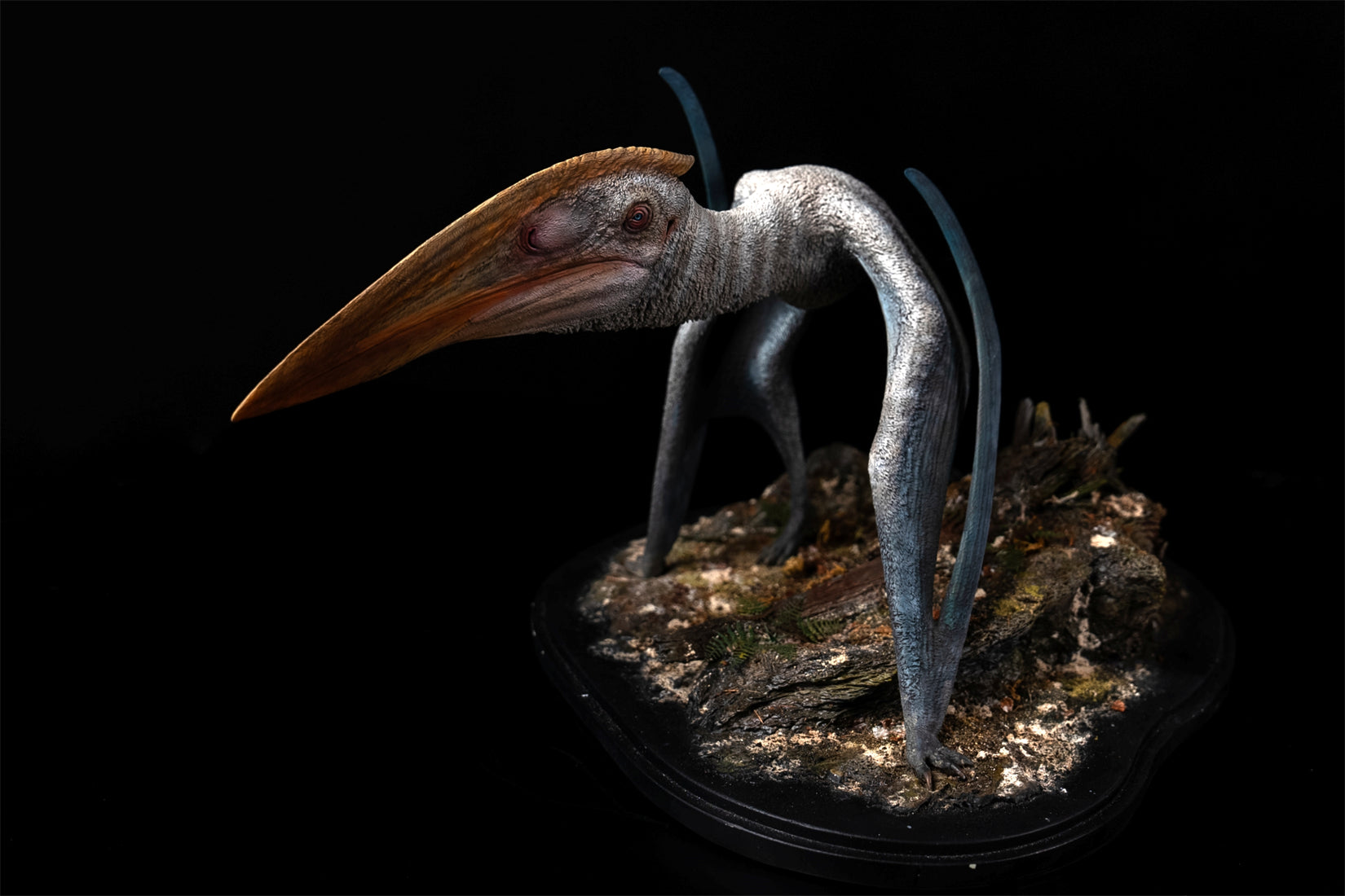 De CLAY Studio Hatzegopteryx thambema Model