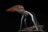 De CLAY Studio Hatzegopteryx thambema Model