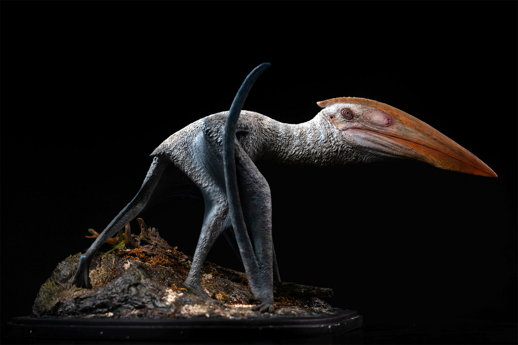De CLAY Studio Hatzegopteryx thambema Model