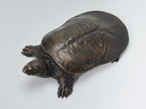 De CLAY Studio Yangtze giant softshell turtle Bronze Model