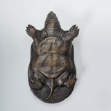 De CLAY Studio Yangtze giant softshell turtle Bronze Model