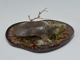 De CLAY Studio Yangtze giant softshell turtle Model