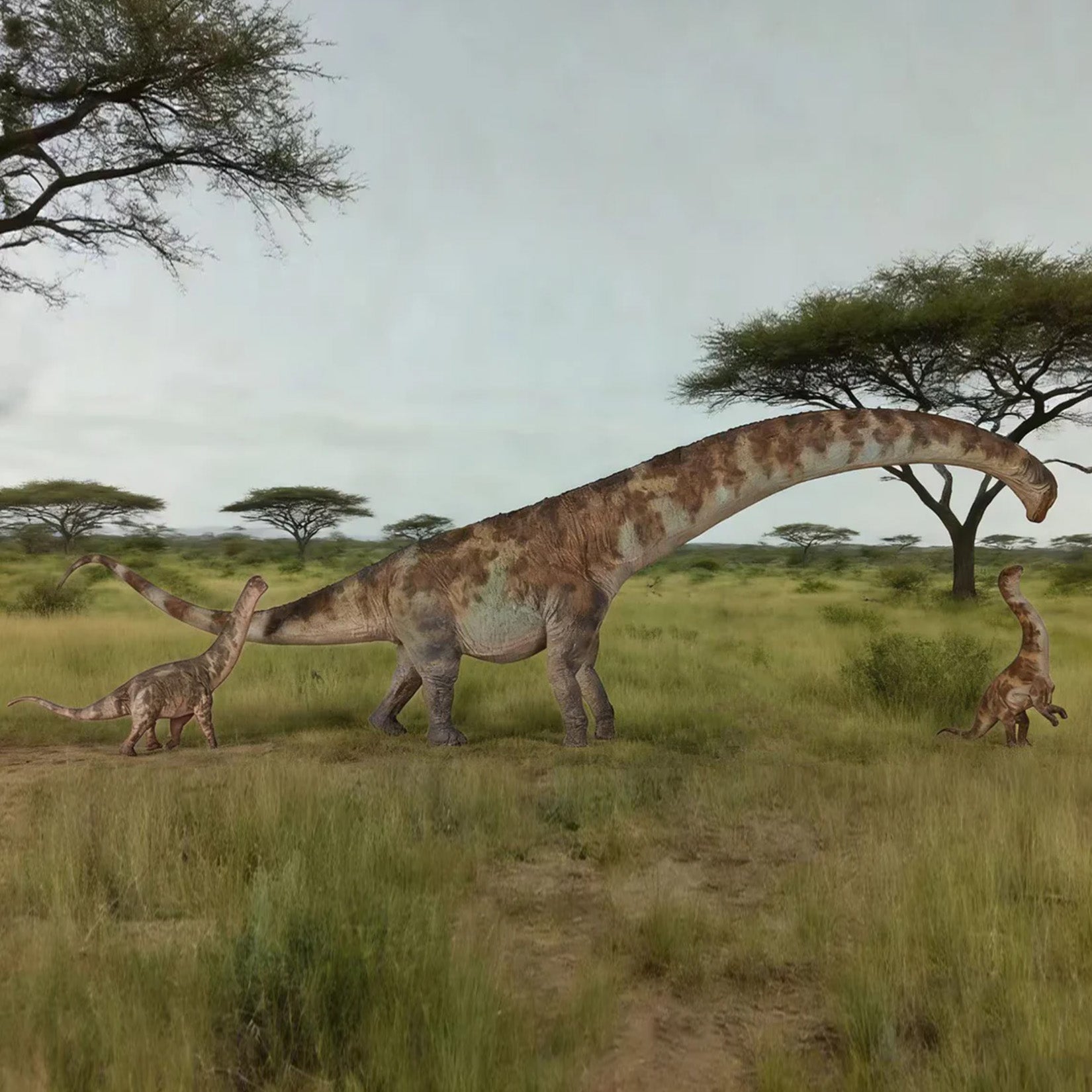 HAOLONGGOOD 1:35 Scale Dreadnoughtus Model