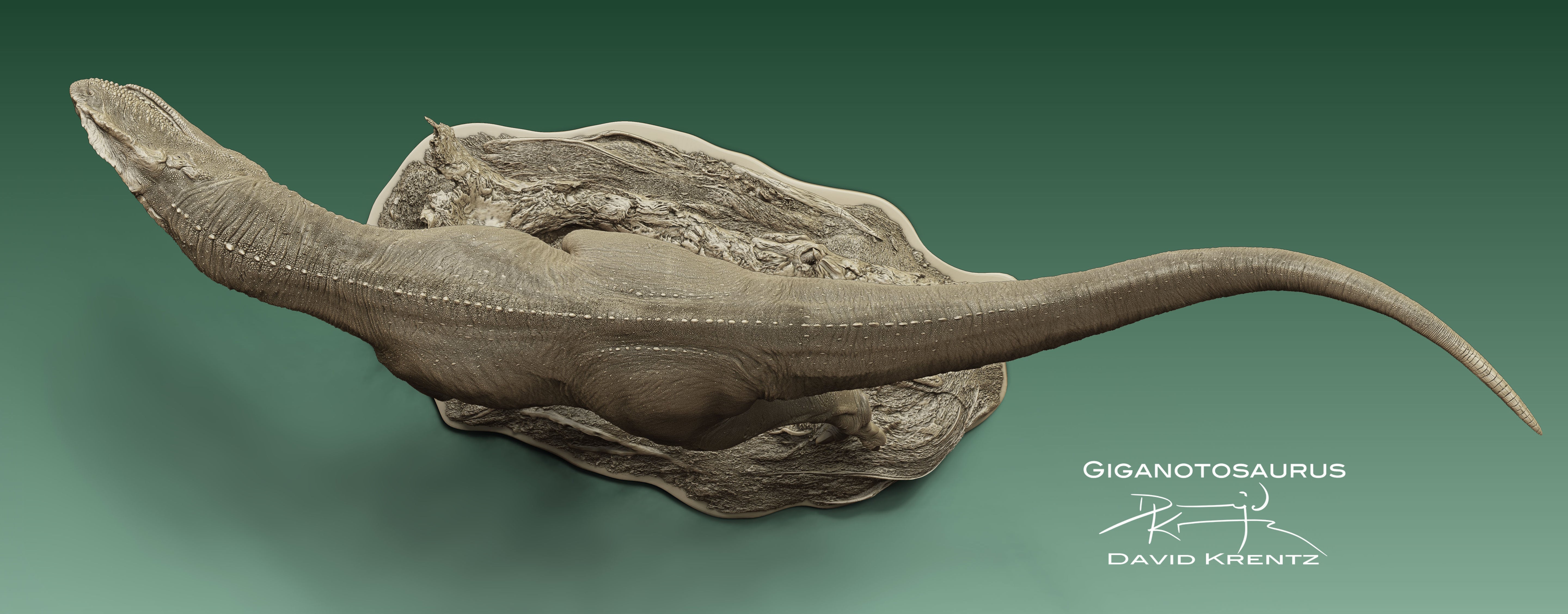 Anningpale Giganotosaurus carolinii Scene Model