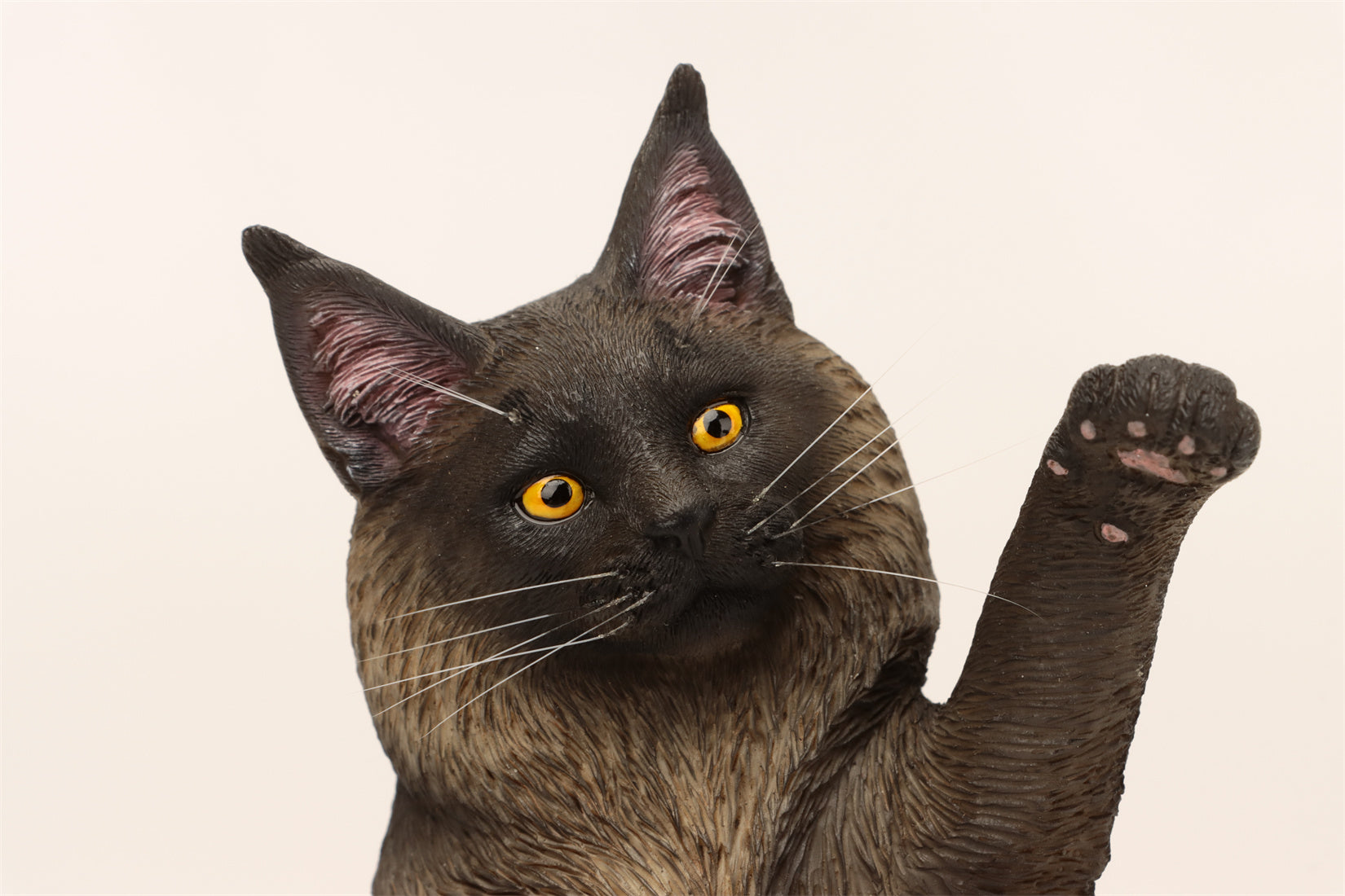 1/6 Maine Coon Cat Figure