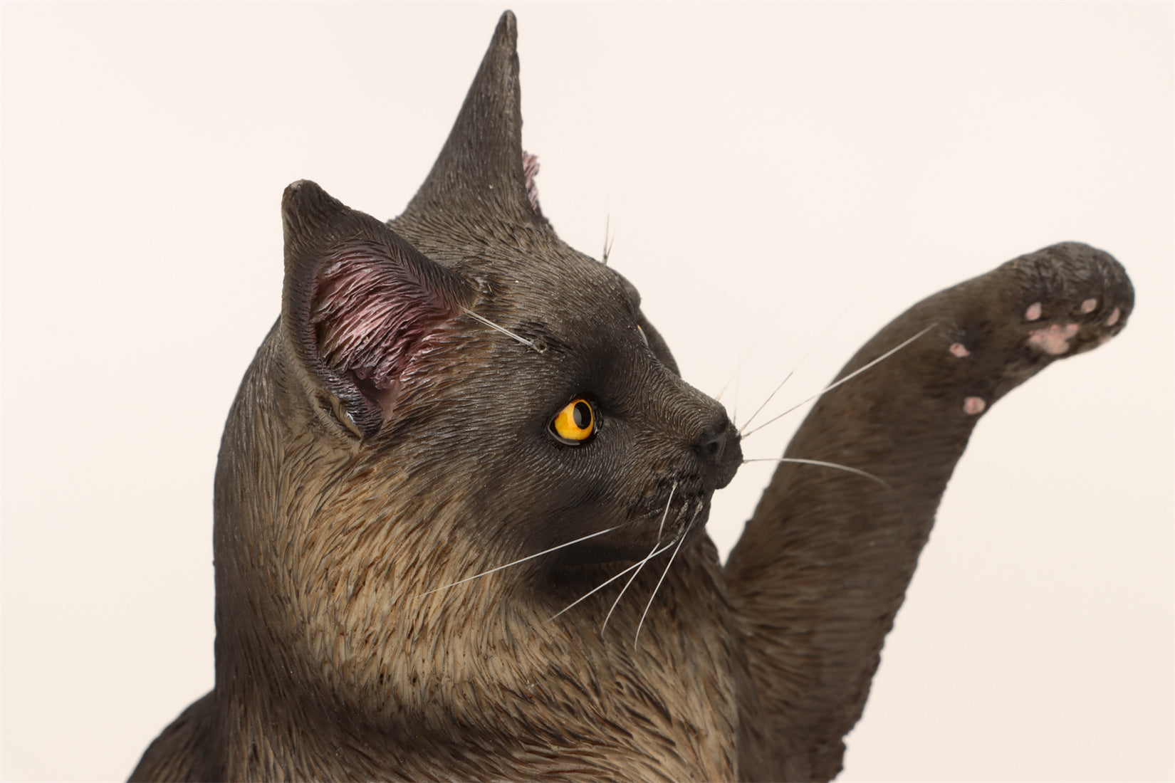 1/6 Maine Coon Cat Figure