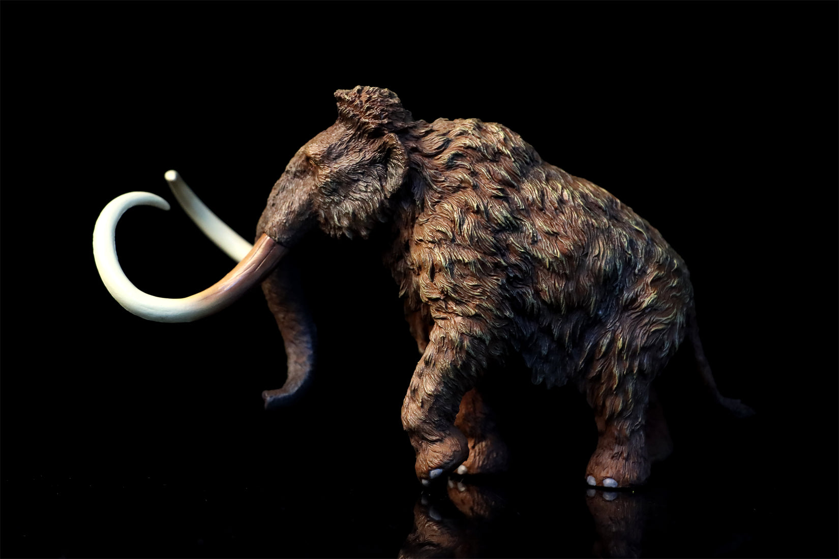 TNG Elasmotherium Megatherium Woolly Mammoth Stegodon Brontotheriidae Smilodon Figure