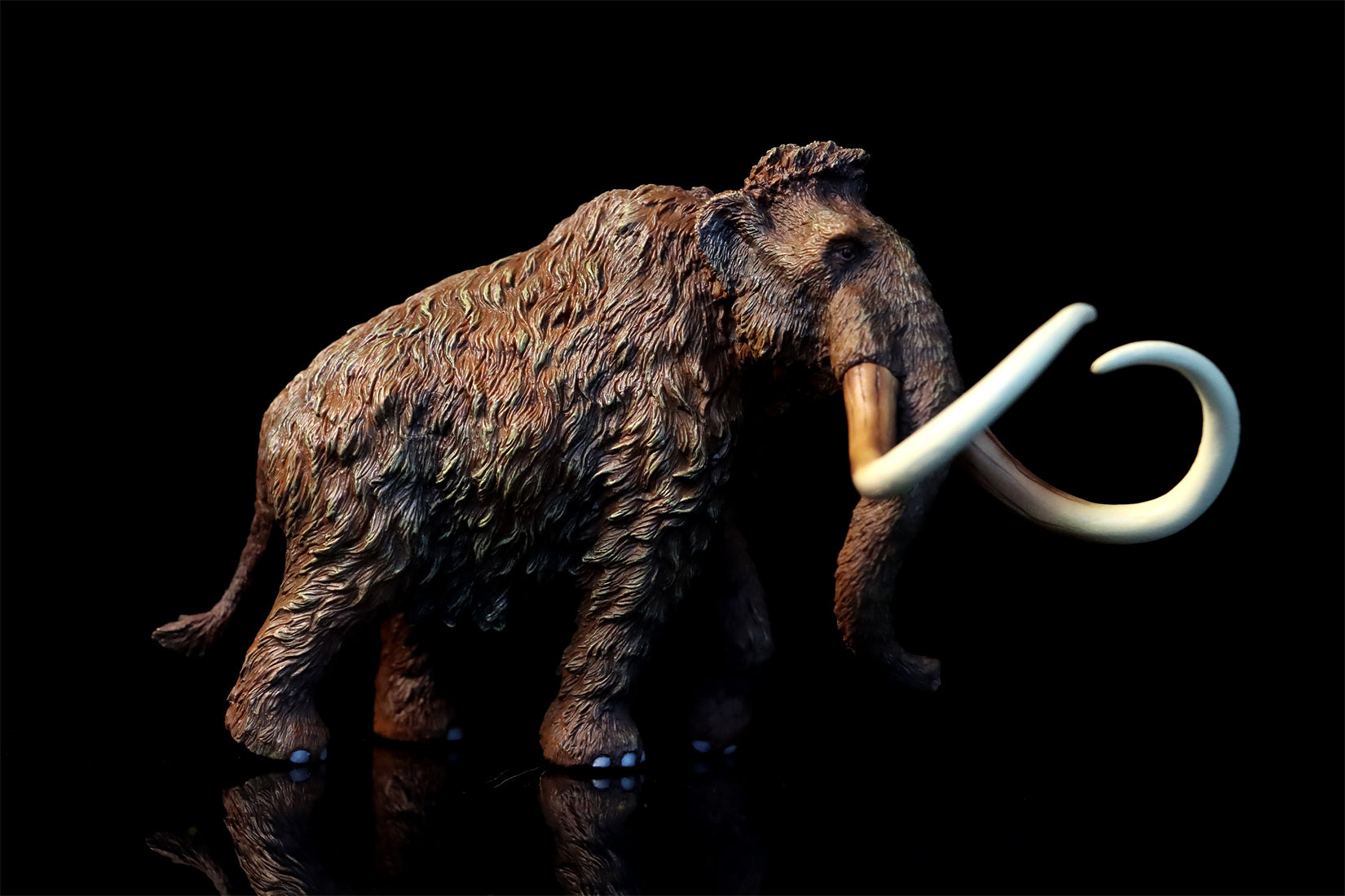 TNG Elasmotherium Megatherium Woolly Mammoth Stegodon Brontotheriidae Smilodon Figure