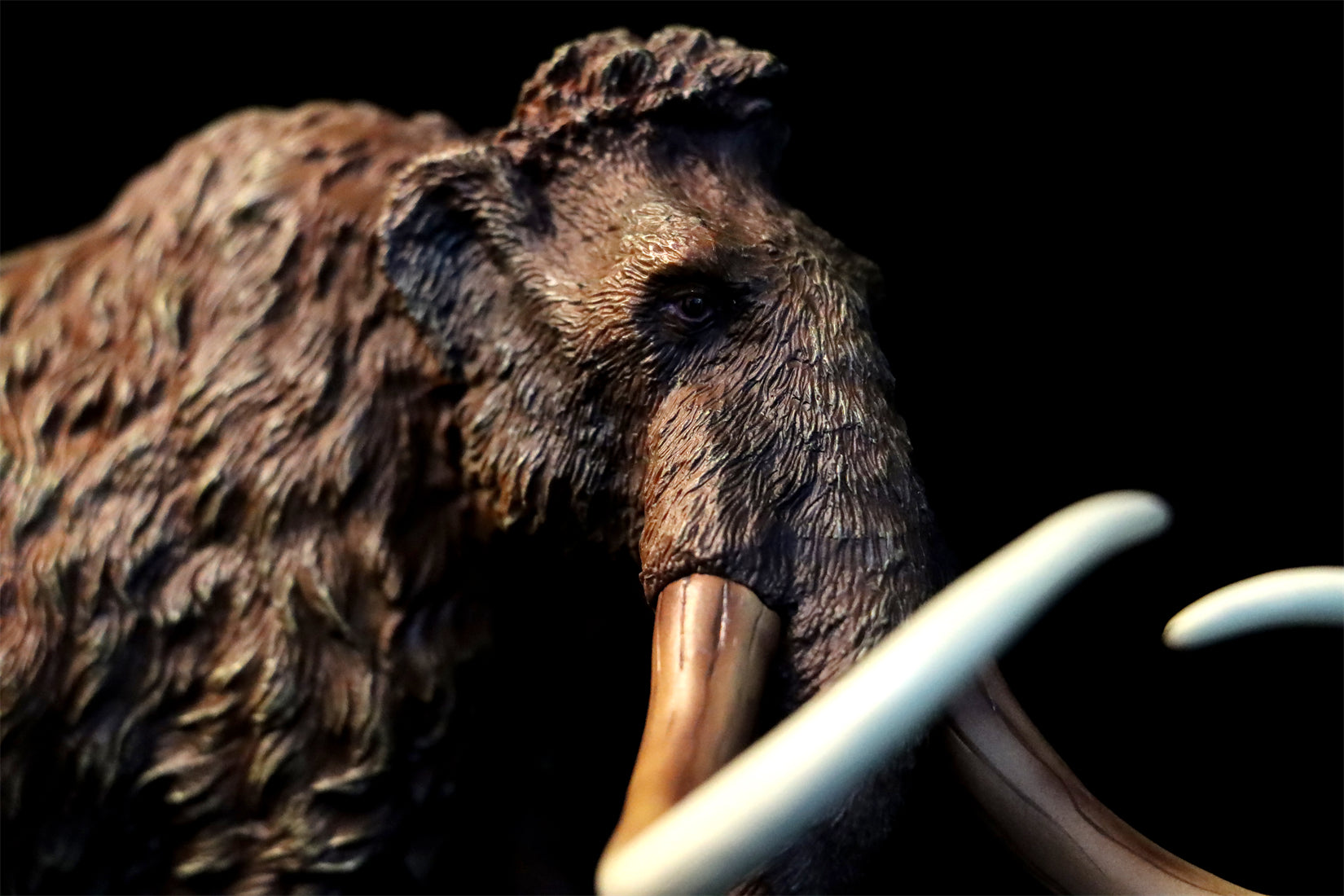 TNG Elasmotherium Megatherium Woolly Mammoth Stegodon Brontotheriidae Smilodon Figure