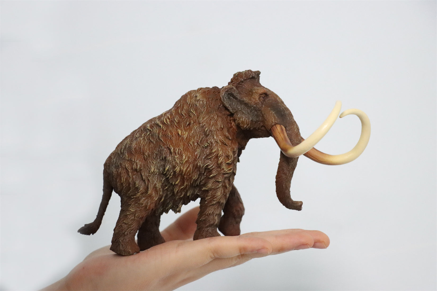 TNG Elasmotherium Megatherium Woolly Mammoth Stegodon Brontotheriidae Smilodon Figure