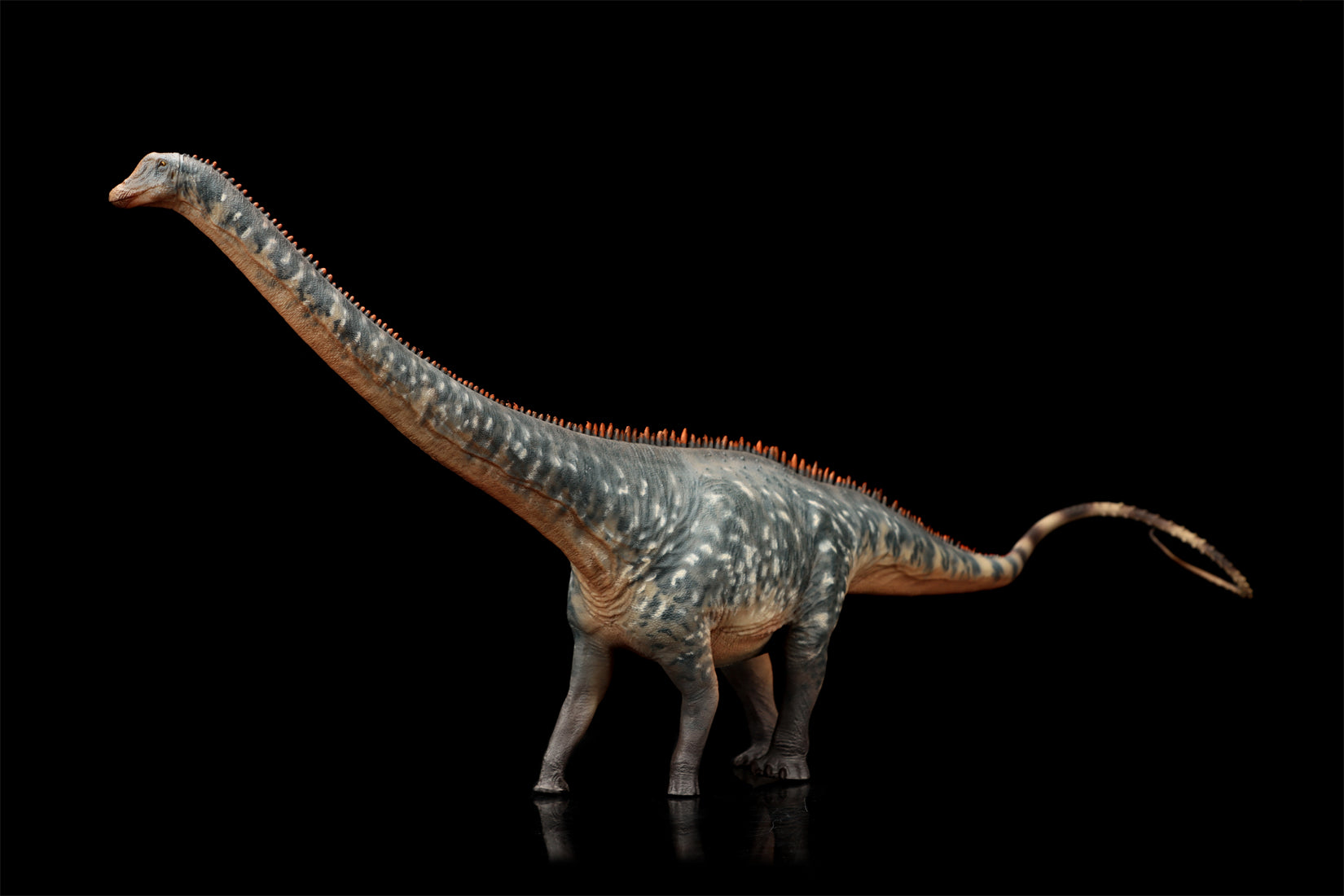 HAOLONGGOOD 1:35 Scale Diplodocus Model