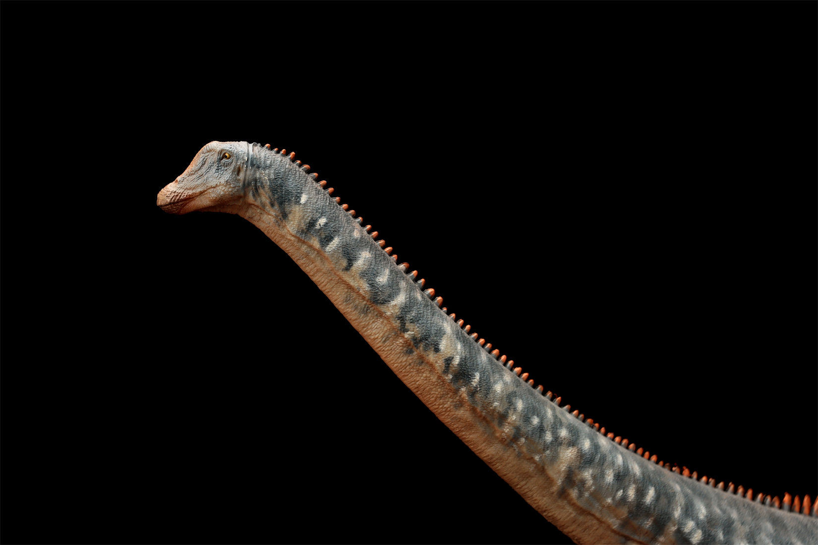 HAOLONGGOOD 1:35 Scale Diplodocus Model