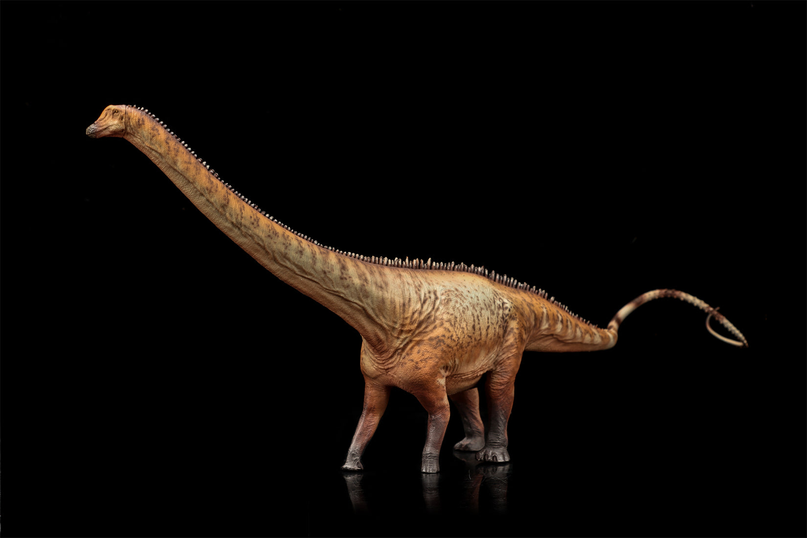HAOLONGGOOD 1:35 Scale Diplodocus Model