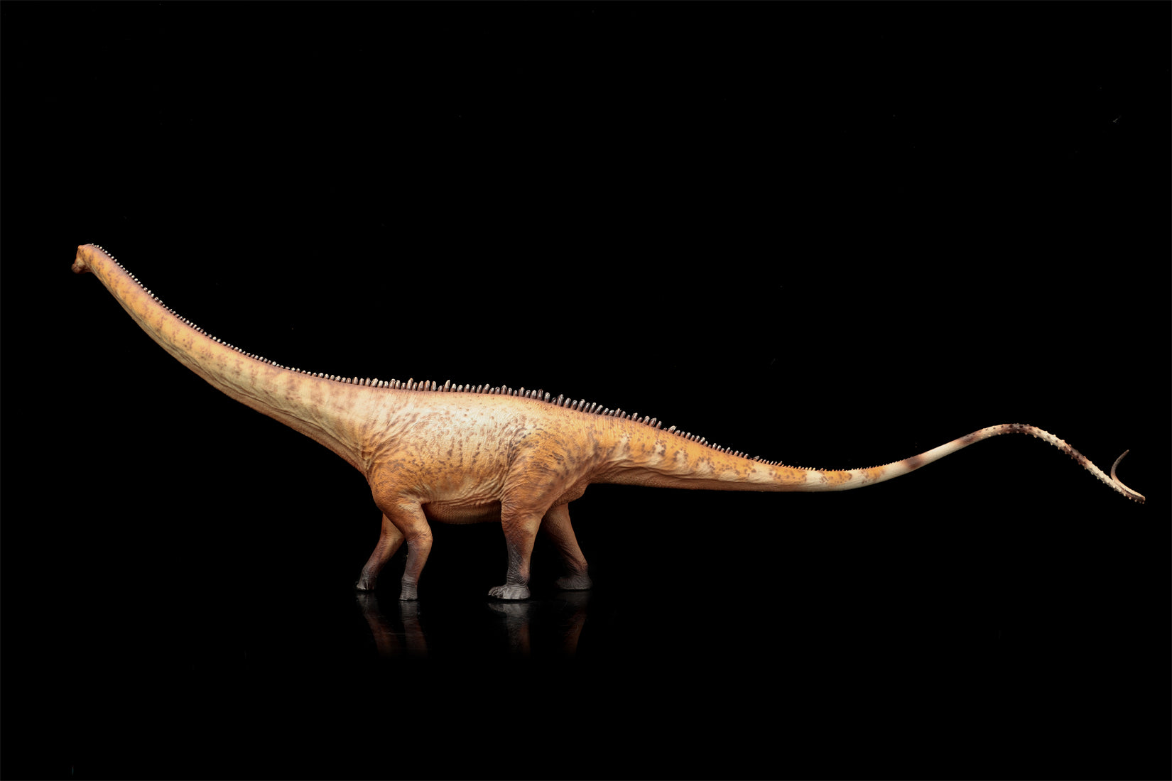 HAOLONGGOOD 1:35 Scale Diplodocus Model