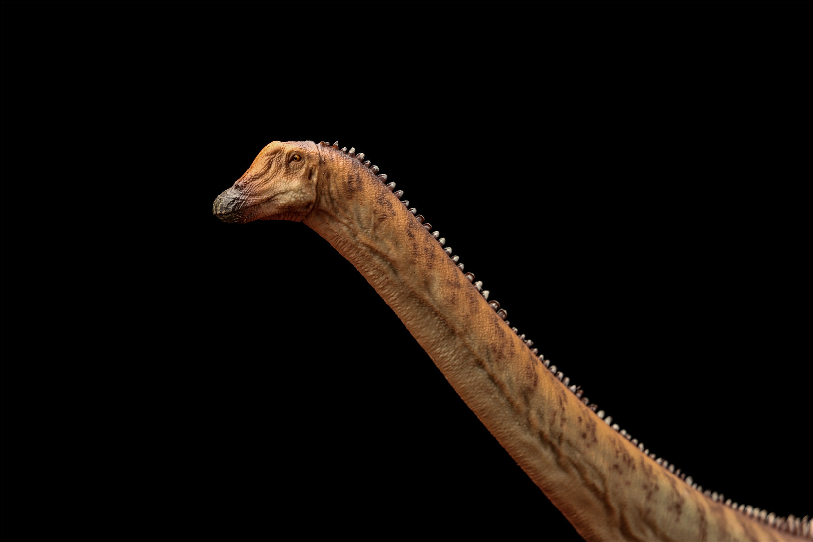 HAOLONGGOOD 1:35 Scale Diplodocus Model
